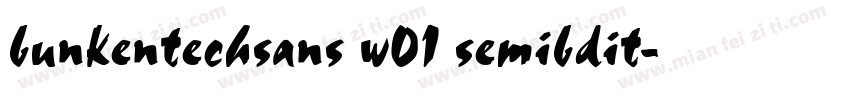 bunkentechsans w01 semibdit字体转换